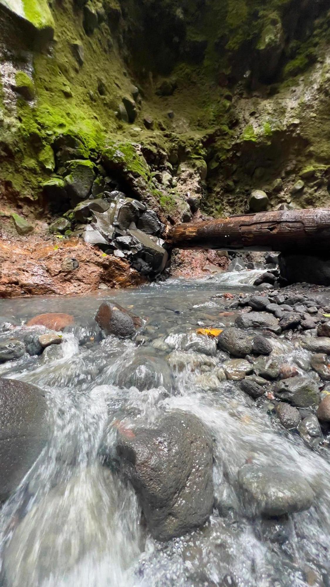 Mineral River Eco Village Upala المظهر الخارجي الصورة