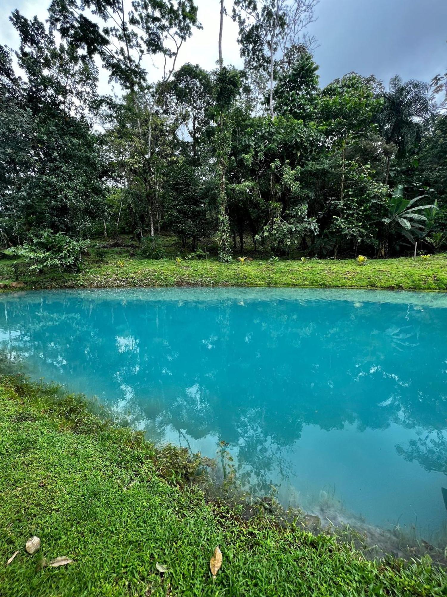 Mineral River Eco Village Upala المظهر الخارجي الصورة