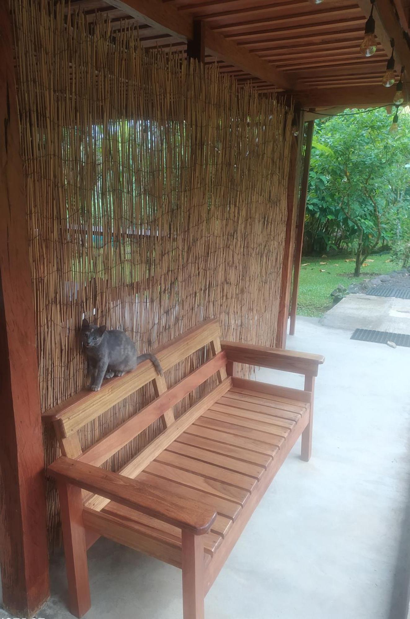 Mineral River Eco Village Upala المظهر الخارجي الصورة